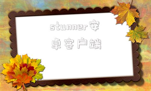 stunner安卓客户端stunner2010种子